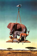 Delicate Balance