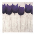 Tulipa Group IV