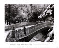 Pine Bank Arch, Central Park, 1996 New York Central Park