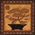 Bonsai I