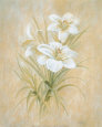 White Lillies