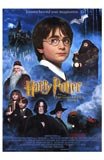 Harry Potter and the Sorcerer