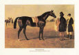 Touchstone (Race Horse)