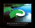 Determination