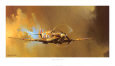 Spitfire