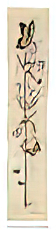 Butterfly Panel 1 Bugs & Insects Butterflies & Moths