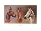 We Three Kings