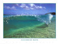 Caribbean Wave