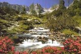 Mountain River