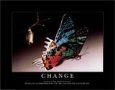 Change Bugs & Insects Butterflies & Moths
