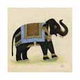 Elephant from India I