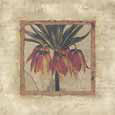 Fritillaria