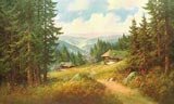 Im Schwarzwald