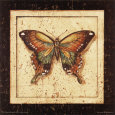 Ancient Butterfly III