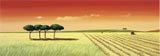 Al calar del sole
