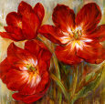 Flamenco Reds