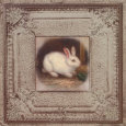 Bunnies On Tile I