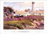 Pigeon Point I