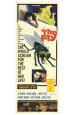 The Fly