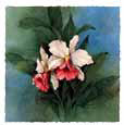 Radiant Blooms II