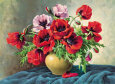 Mohn
