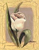Una Flor I