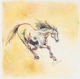 Running Horse Study