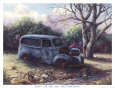 Water Hole