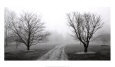 Road to Somewhere