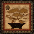 Bonsai I