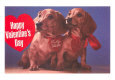 Happy Valentine