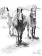 Trio