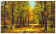 In the Fall I