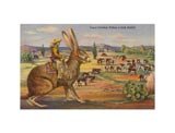 Texas Cowboy Herding from Jack Rabbit