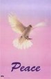 Dove Love