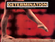 Determination