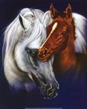 Mare and Foal