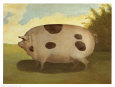 Brown Pig