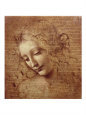 Female head (La Scapigliata), c. 1508