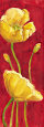 Papaveri in Rosso