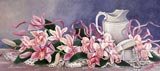 Orchid Display