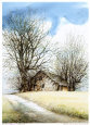 Almost Spring (Mini)