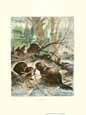 Beaver Lg