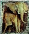Elephant: Hommage II