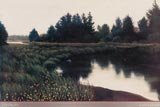 Estuary