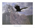 Mountain Flight