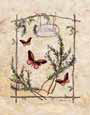 Rosemary Butterfly Bugs & Insects Butterflies & Moths