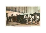 Horse-Drawn Currency Wagon, Washington, DC