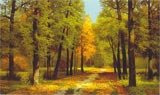 In the Fall I Scenic Streets & Roadways