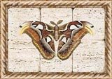 Butterfly Fresco I